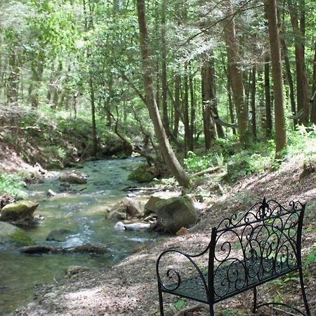 Private Creekside Cabin+Hot Tub,Pool Table, & Pets Ellijay Εξωτερικό φωτογραφία