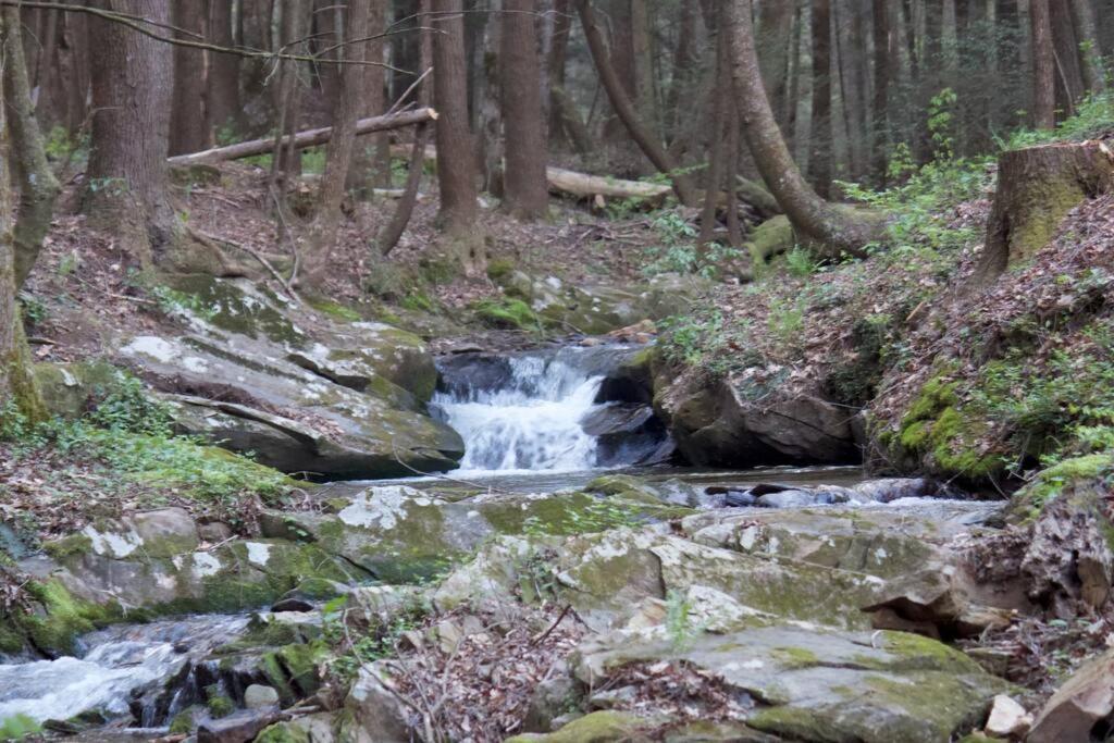 Private Creekside Cabin+Hot Tub,Pool Table, & Pets Ellijay Εξωτερικό φωτογραφία